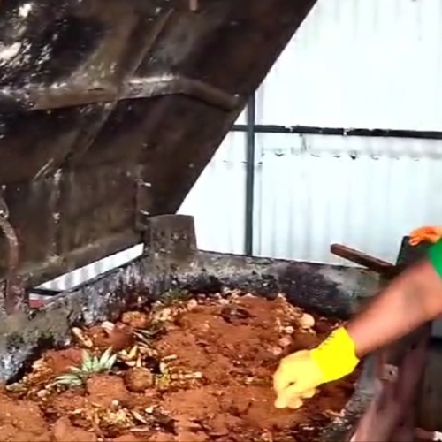 Woman adding organic waste to a composting bin for corporate waste management.